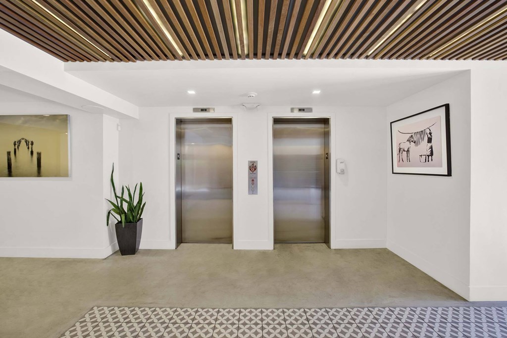 Two elevators in a hallway with a plant and picture on the wall.
