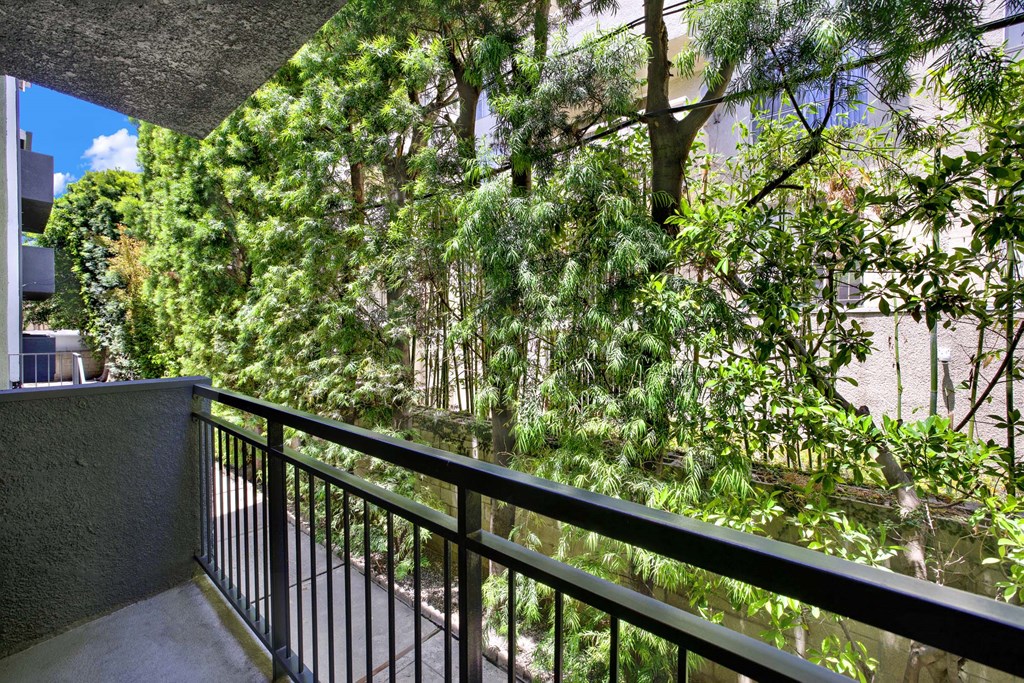 A balcony with a black railing overlooks a lush green forest.