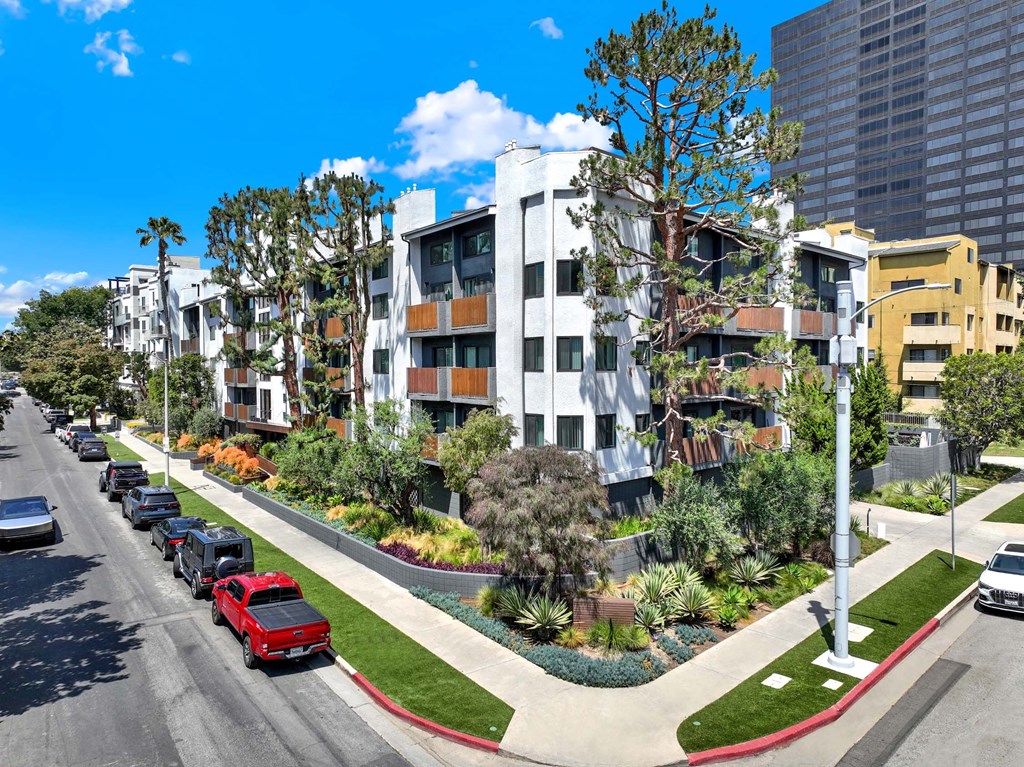 A street view of a residential area with cars parked on the side of the road.