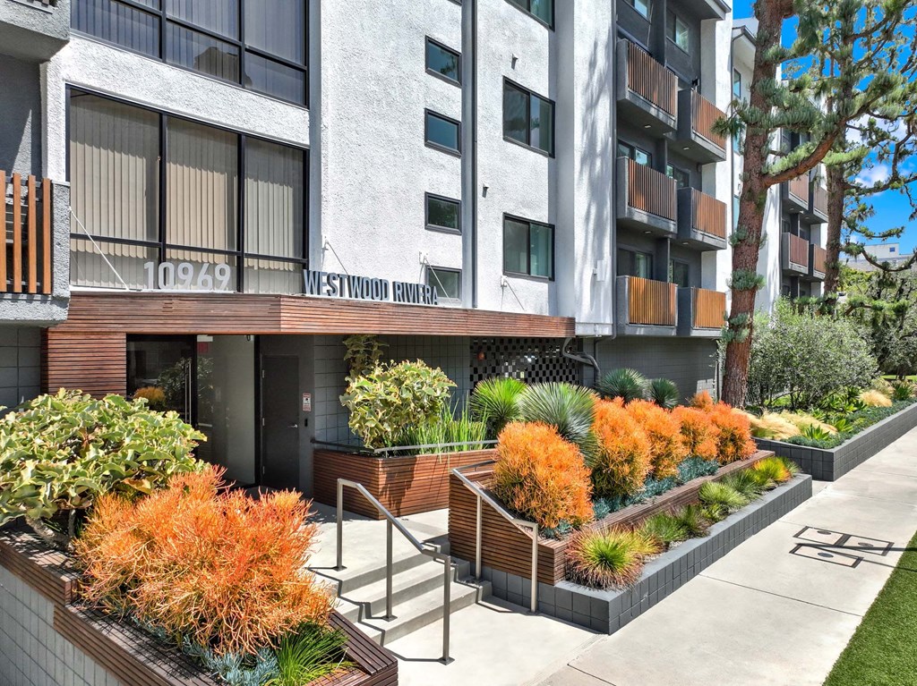 A modern building with a balcony and a row of orange plants in front.