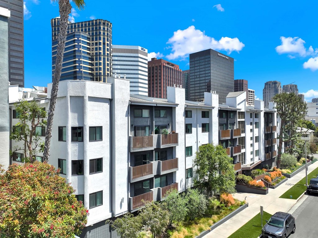 A modern apartment building with a palm tree in front.