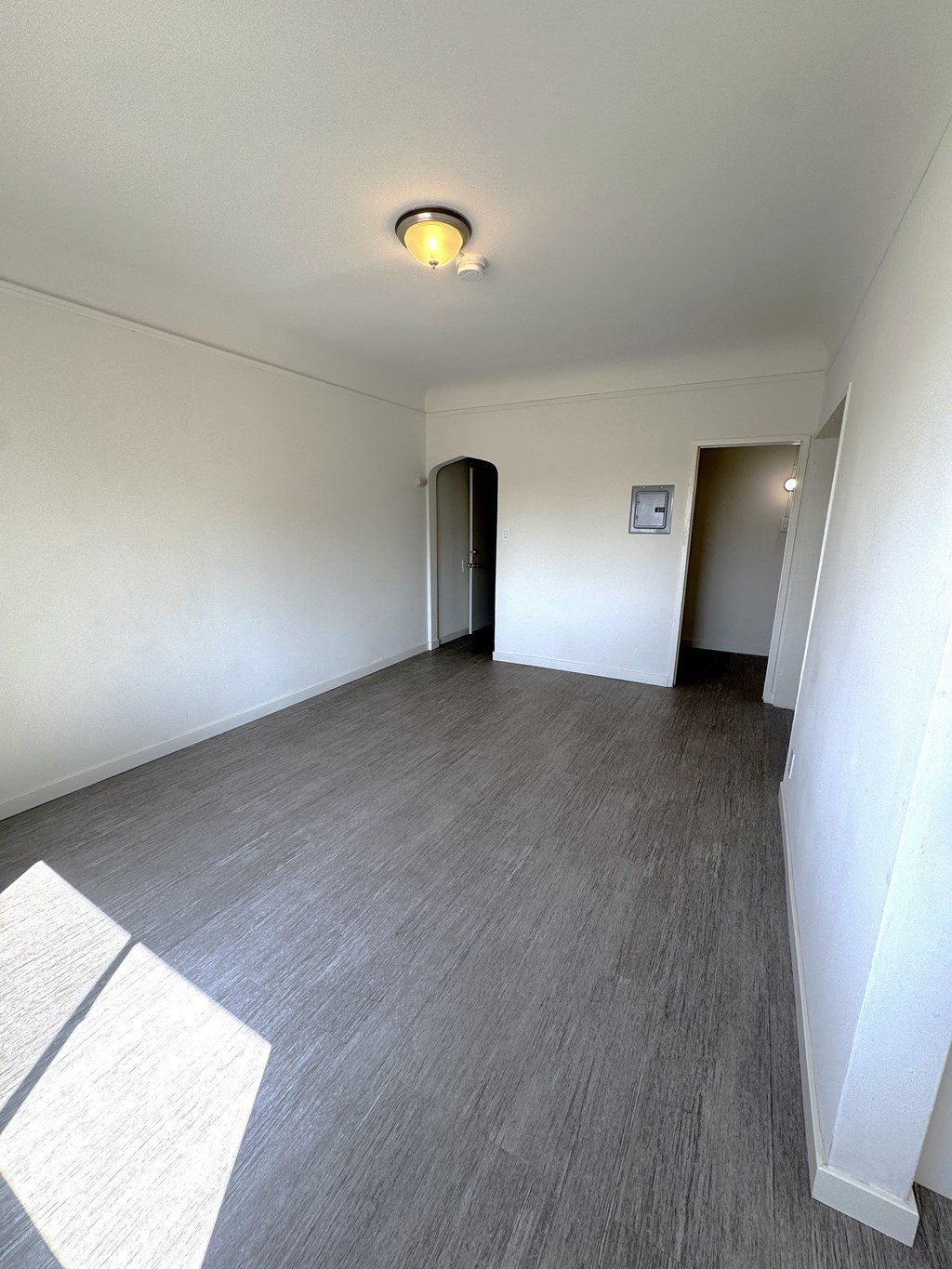 A room with a grey carpet and a white wall.