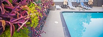 Pool View at Westwood Riviera Apartments, California