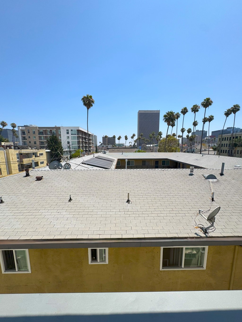 A view of a cityscape with buildings and palm trees from a rooftop.