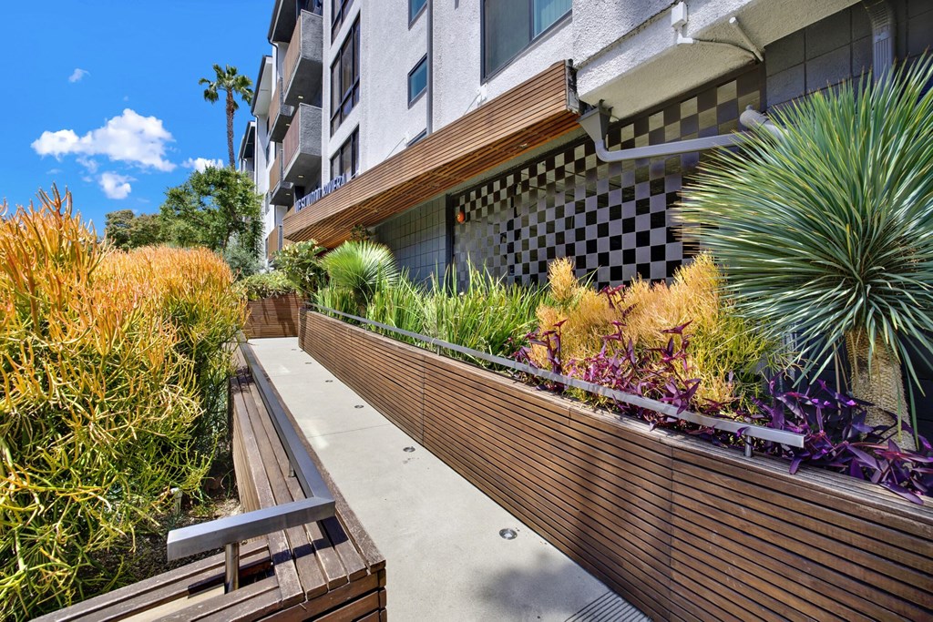 A wooden bench sits on a concrete path next to a wooden fence with a variety of plants.