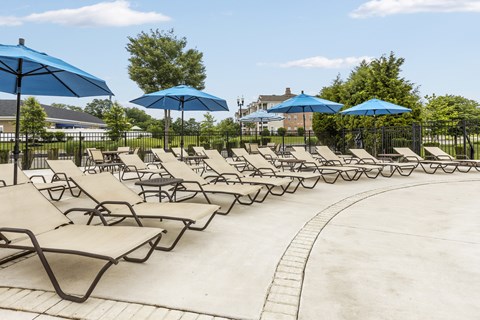 A row of sun loungers are arranged on a patio.