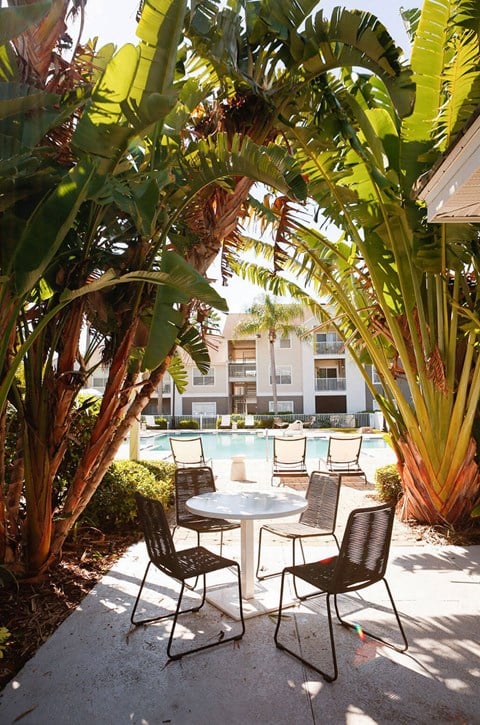 Poolside Relaxing Chairs at Champions Walk Apartment Homes, Bradenton