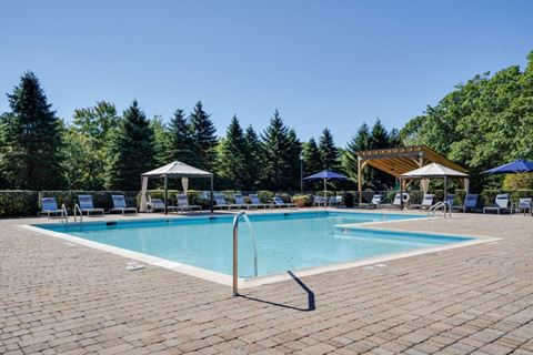 a swimming pool with chairs and umbrellas and trees