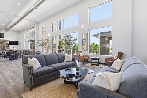 A modern living room with a grey sofa and a coffee table.