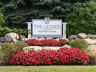 the ledge sign in front of red and white flowers