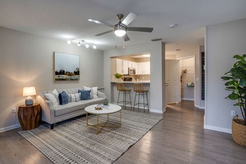 Modern Living Room  at The Monroe Apartment Homes, Tallahassee, FL, 32303