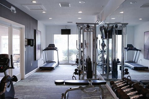 a gym with cardio equipment and a large window  at The Villas at Flagler Pointe, Saint Petersburg, 33712