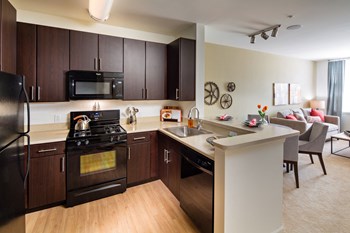 185 Canal St E 1-2 Beds Apartment for Rent - Photo Gallery 2