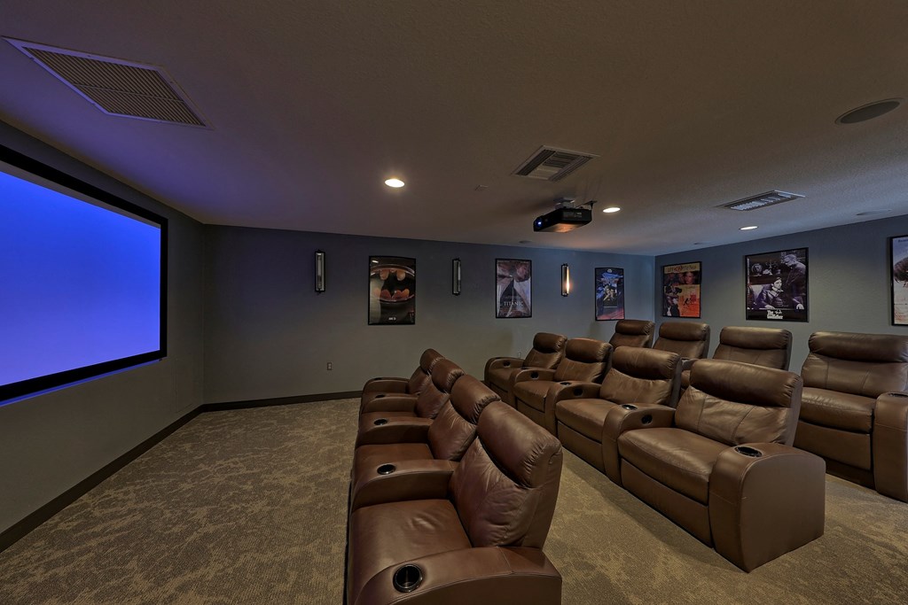 Movie Theatre  at The Monroe Apartment Homes, Florida, 32303