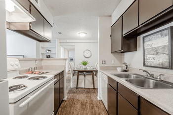Double stainless steel sink San Antonio Apartments - Photo Gallery 6