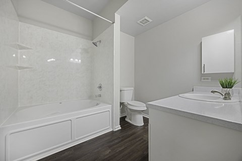 spacious bathroom with bathtub  Prestonwood Hills Texas, 75093