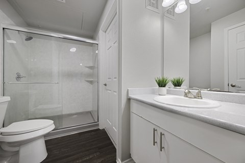 spacious bathroom with walk-in shower  at Prestonwood Hills, Plano, TX, 75093