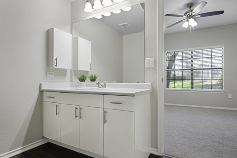bright spacious bathroom  Prestonwood Hills Texas, 75093