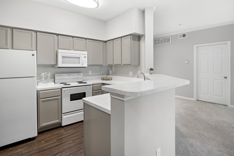 Large spacious kitchen with countertop and bar space at The Remington, Lewisville, TX