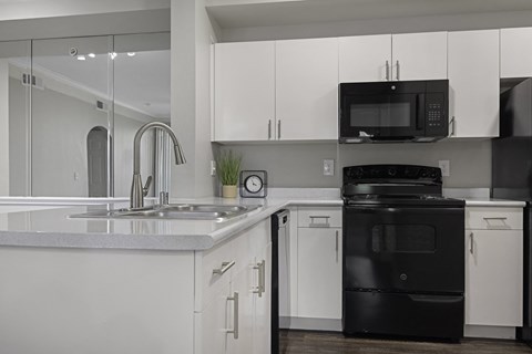 large kitchen in open floorplan with black appliances at Prestonwood Hills Texas, 75093