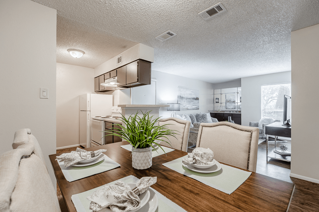 Sleek kitchen  at Walnut Hill, San Antonio, Texas