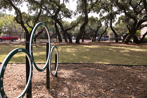 Agility Course at the Dog Park  at Walnut Hill, San Antonio, TX, 78229