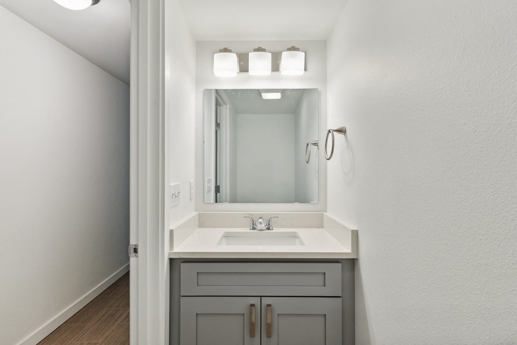 a bathroom with a sink and a mirror