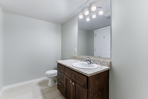 a bathroom with a sink and a toilet and a mirror