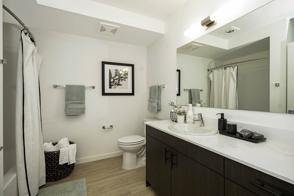a bathroom with a sink and a toilet and a mirror