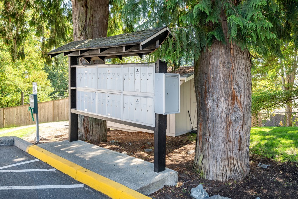 A white mailbox is attached to a tree in a parking lot.