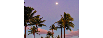 3 Bed, 2 Bath 60% C2A