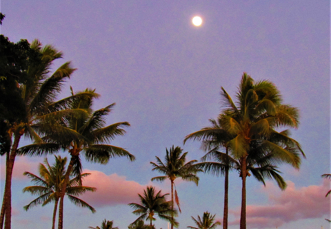 92-1088 Palahia Street 2-3 Beds Apartment, Affordable for Rent - Photo Gallery 11