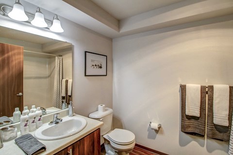 a bathroom with a sink and a toilet and a mirror