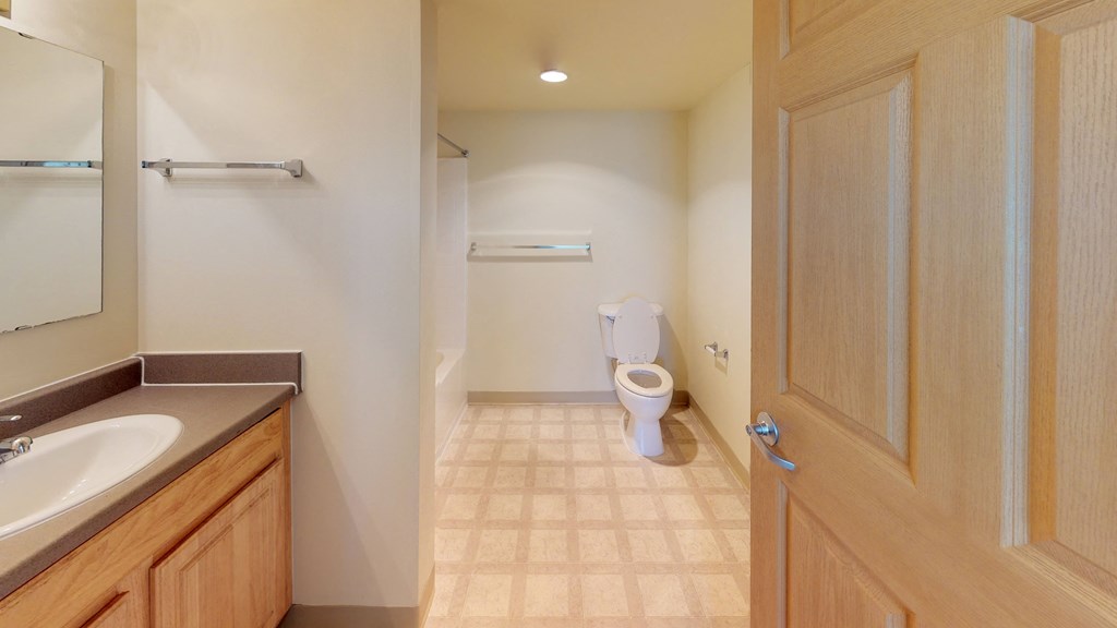 a bathroom with a toilet and a sink and a mirror
