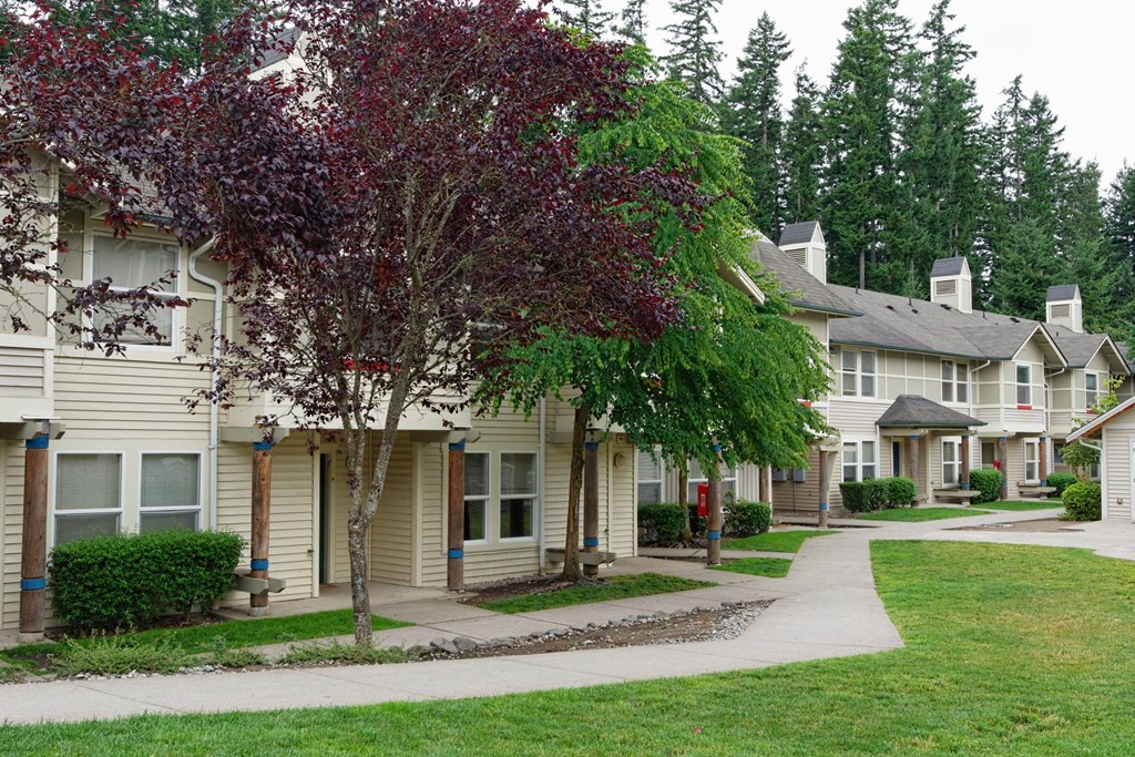 A tree with purple leaves is in front of a building.