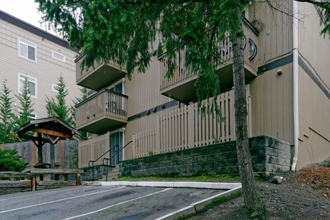 A tree is in front of a building.