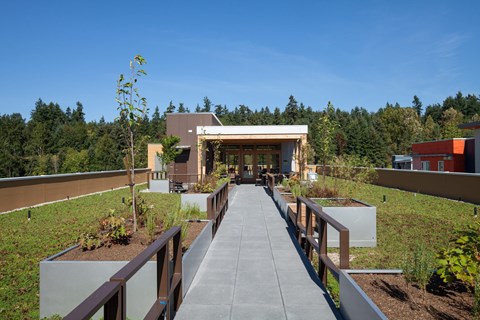 A modern building with a walkway leading to the entrance.