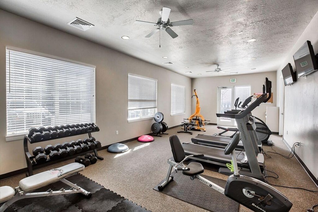 the gym in the owners home has a lot of exercise equipment