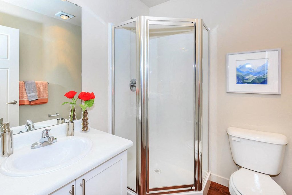 a bathroom with a shower and a sink and a toilet