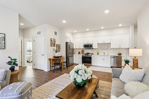 Living Room kitchen combo