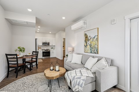 Living Room kitchen combo