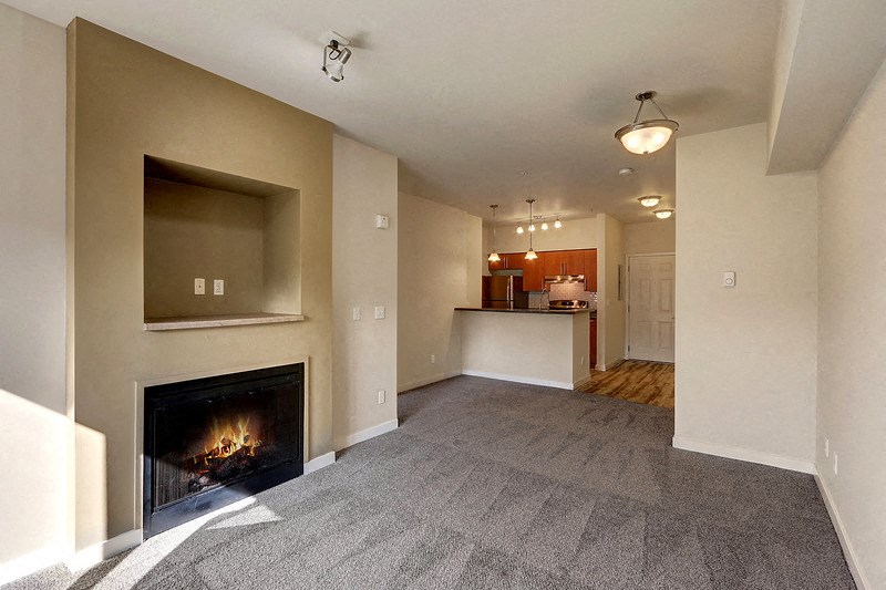 Living room & fireplace