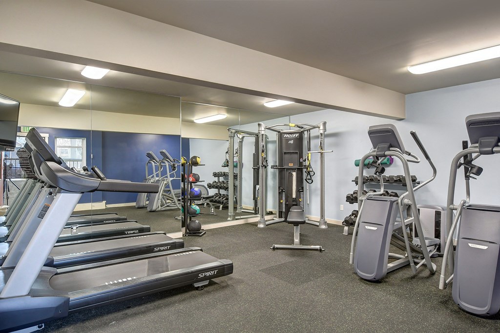a gym with cardio equipment and weights in a building