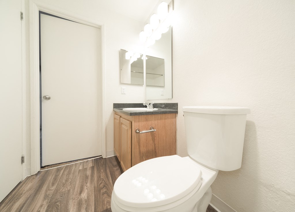 a bathroom with a toilet and a sink and a mirror