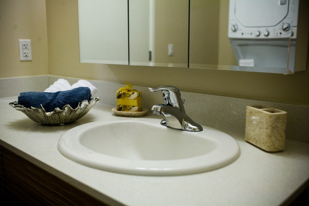 a bathroom sink with a faucet and a bowl of soap on the counter