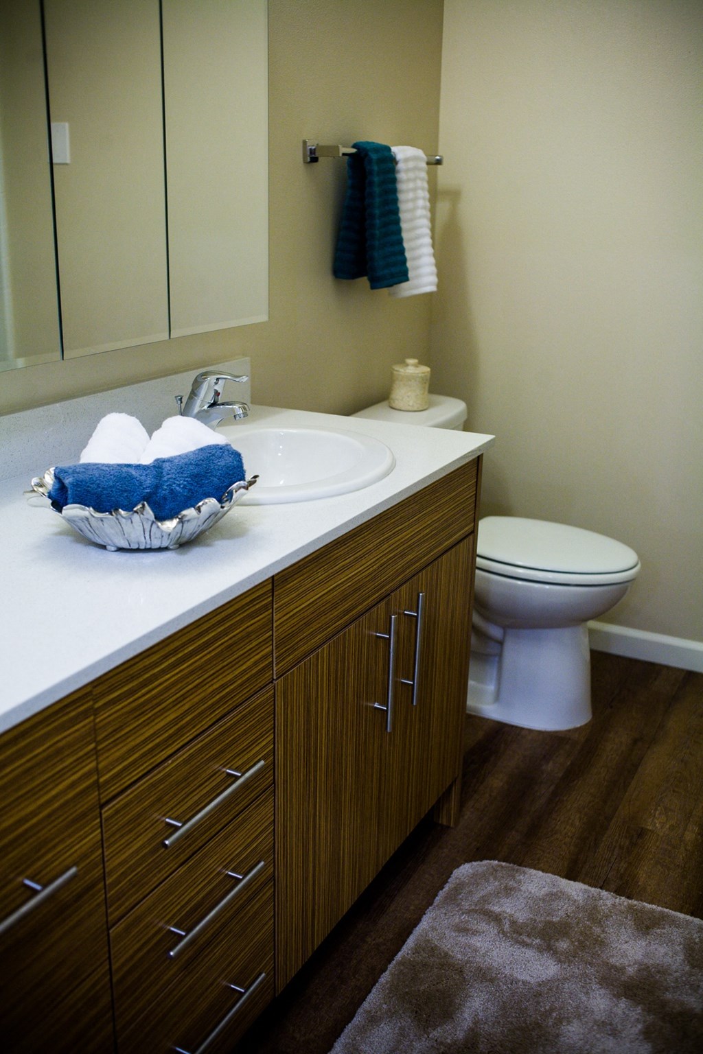 a bathroom with a sink and a toilet