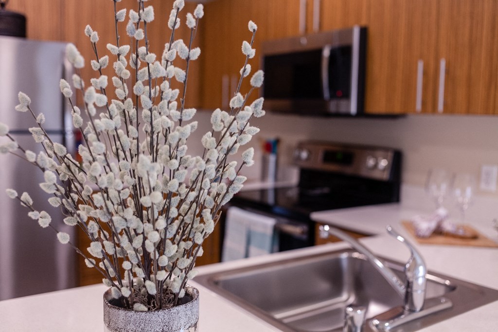 a vase with white flowers sitting on a kitchen counter
