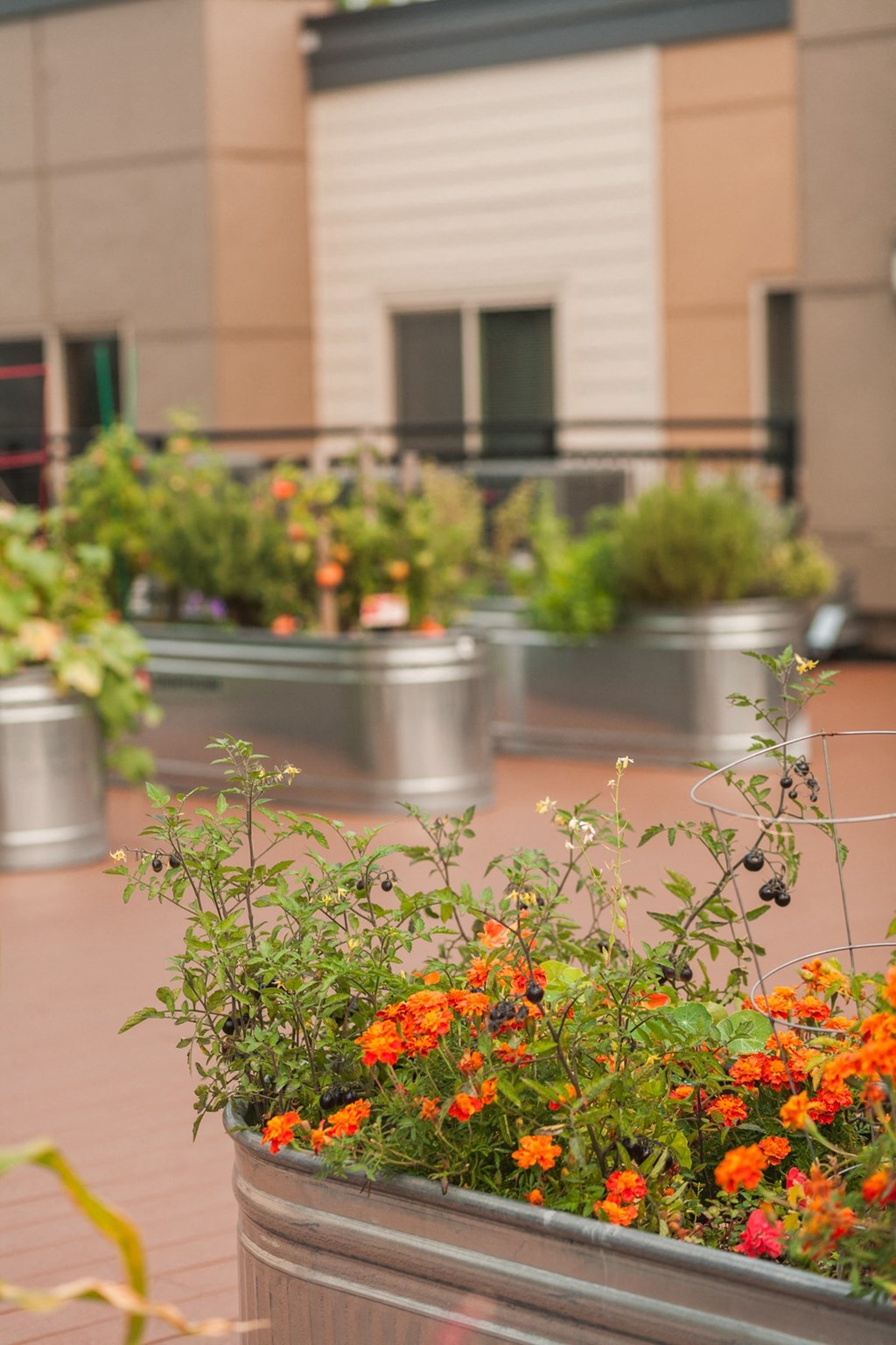 a row of metal containers filled with flowers on a sidewalk