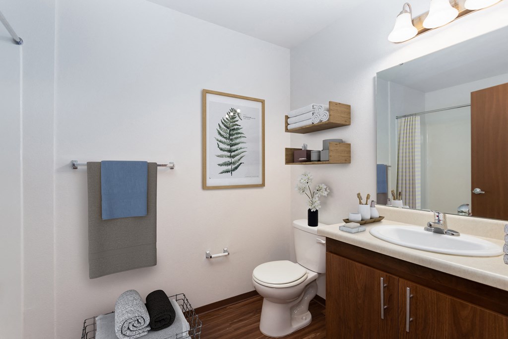 a bathroom with a toilet and a sink and a mirror