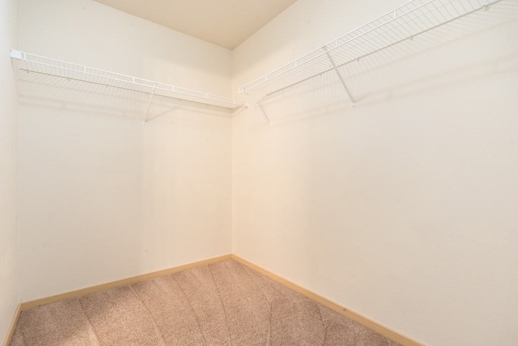 a small room with white walls and a beige carpet